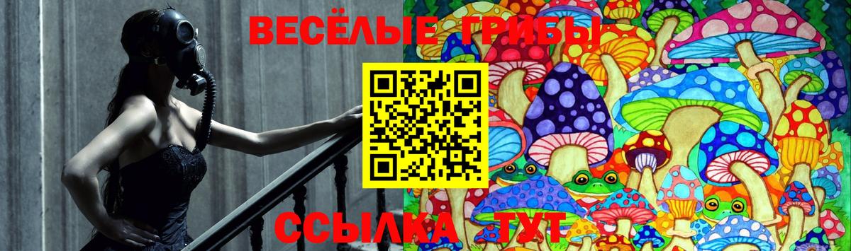 цена наркотик  Псилоцибиновые грибы Psilocybe  Псилоцибиновые грибы мухоморы  Вход с VPN  Мичуринск 