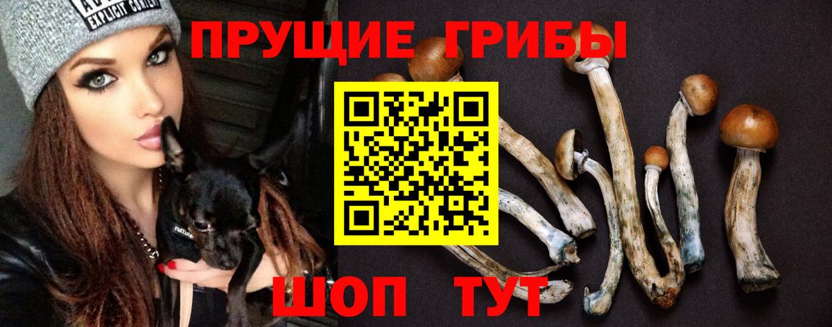 Псилоцибиновые грибы MAGIC MUSHROOMS Мичуринск